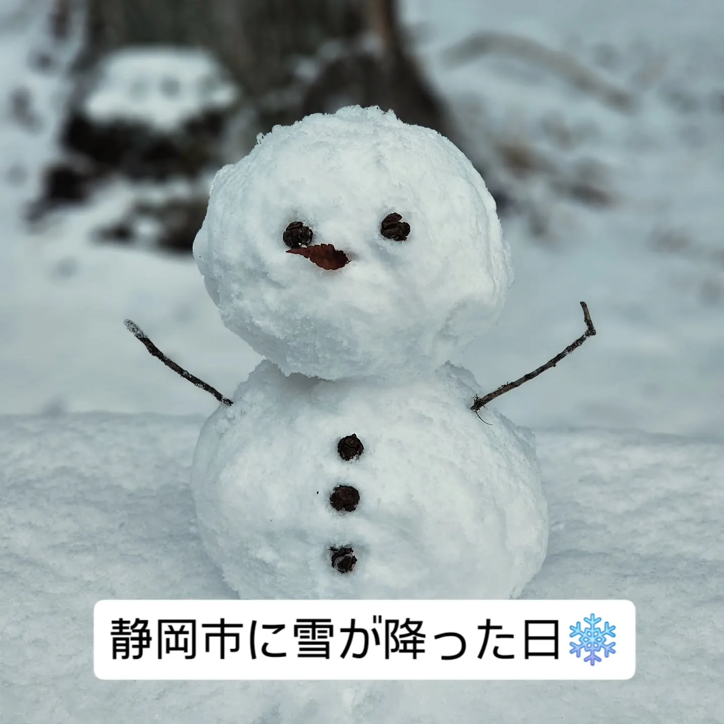 【静岡市民もびっくり!?