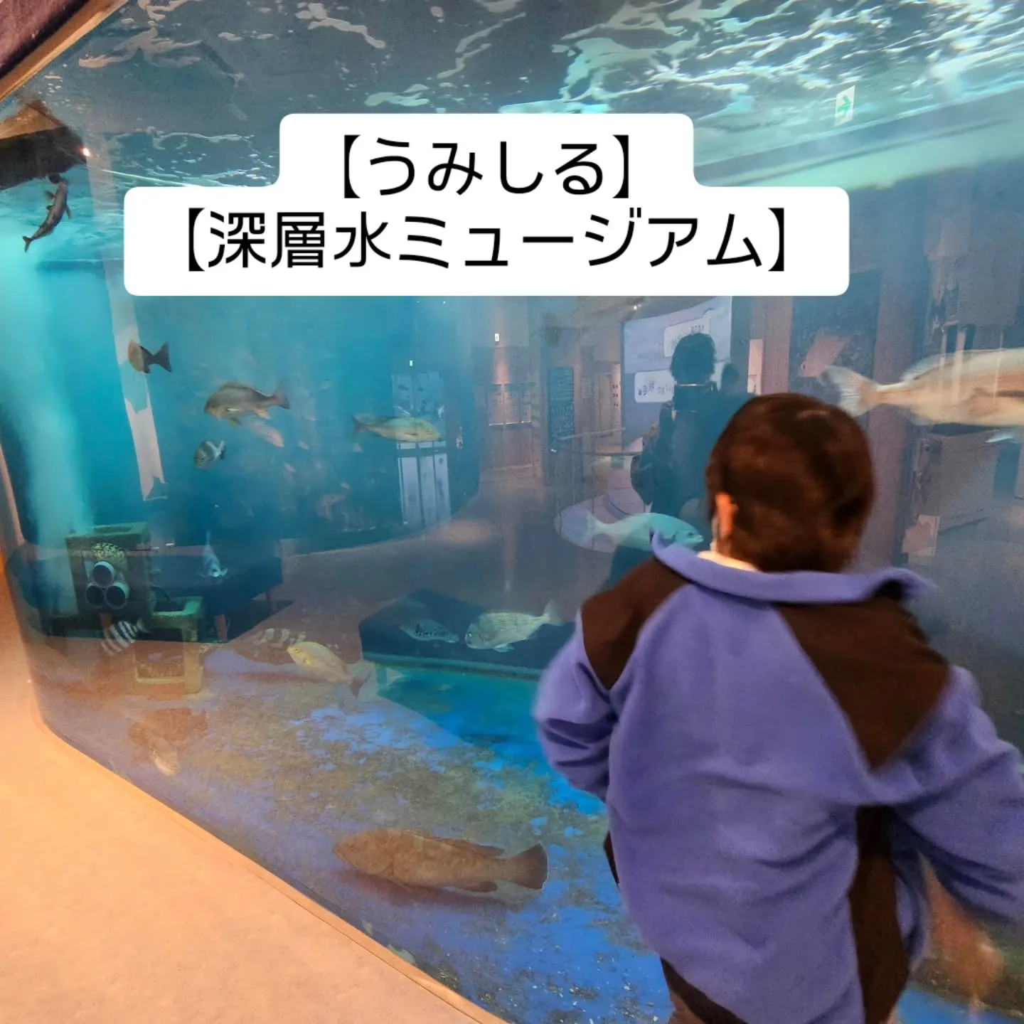 皆様こんにちは!放課後等デイサービス「しーぐらす」です🍀