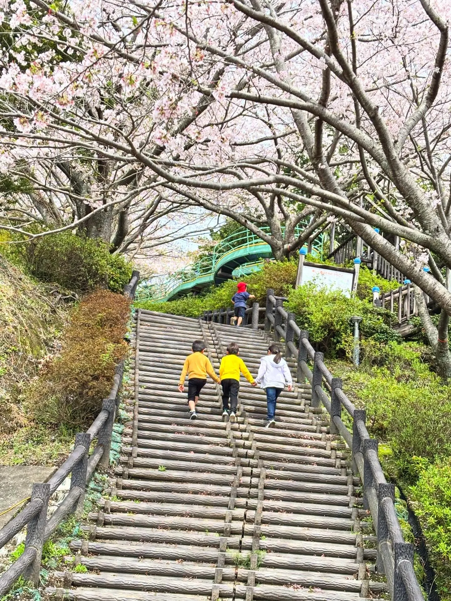 皆様こんにちは!