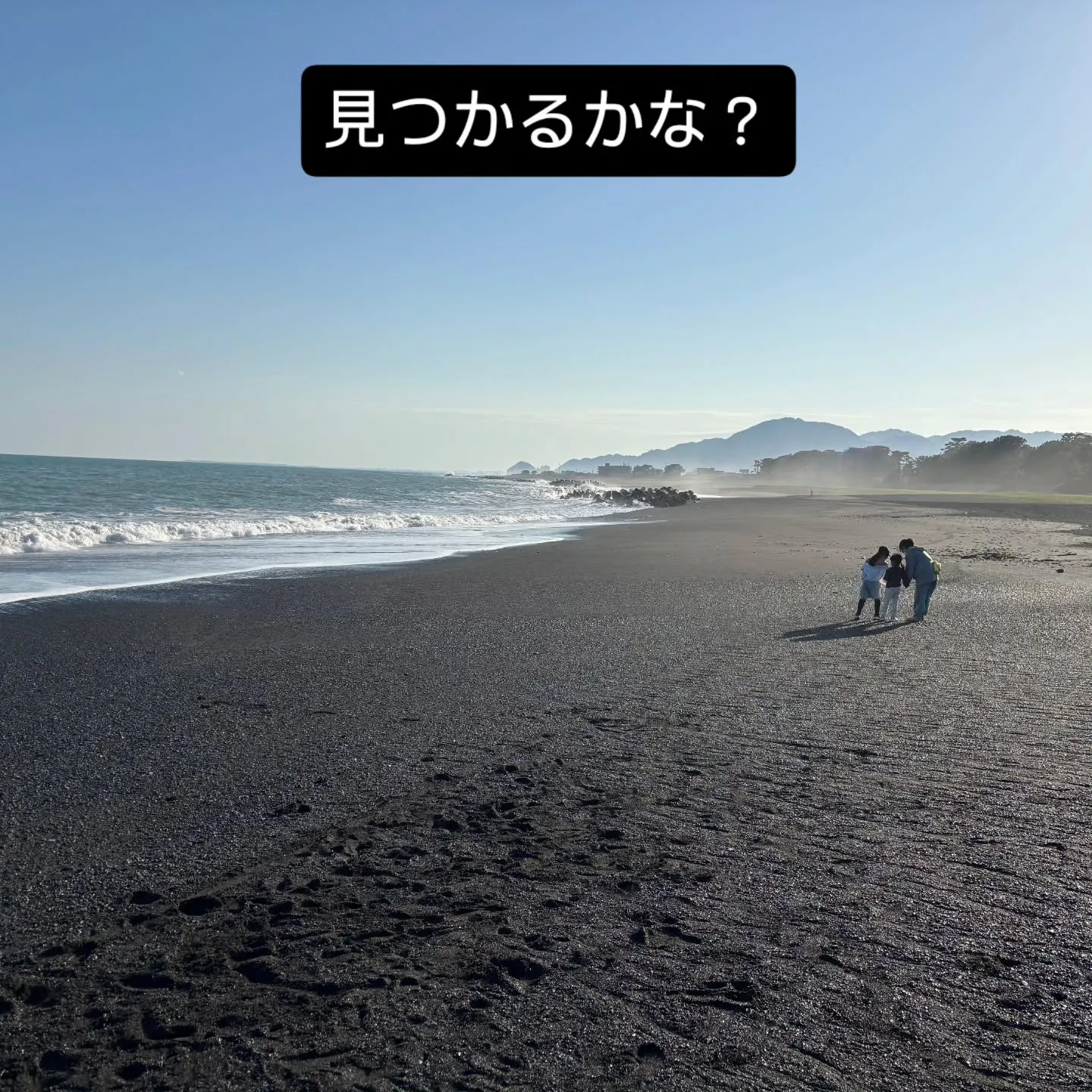 皆様こんにちは!